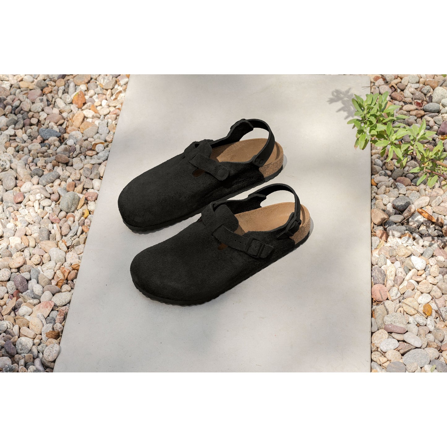 Birkenstock Tokio Black Suede Leather Regular - 1028337 | Blue Heeler Boots