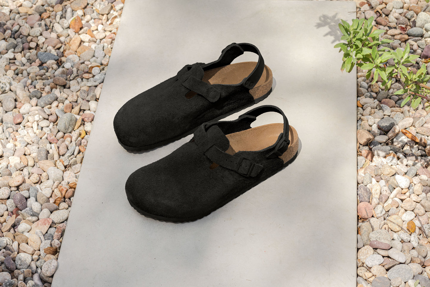 Birkenstock Tokio Black Suede Leather Regular - 1028337 | Blue Heeler Boots