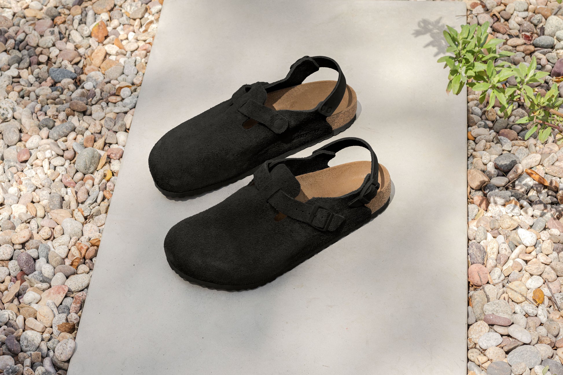 Birkenstock Tokio Black Suede Leather Regular - 1028337 | Blue Heeler Boots
