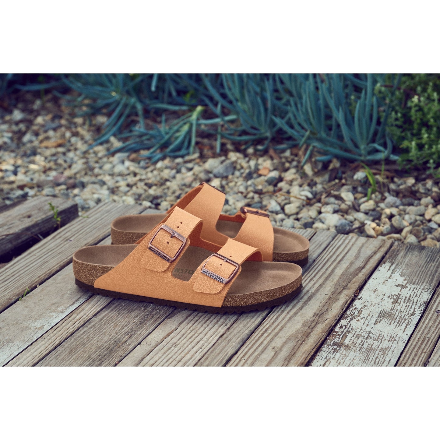 Birkenstock Arizona Vegan Pecan BirkiBuc Regular - 1025006 | Blue Heeler Boots