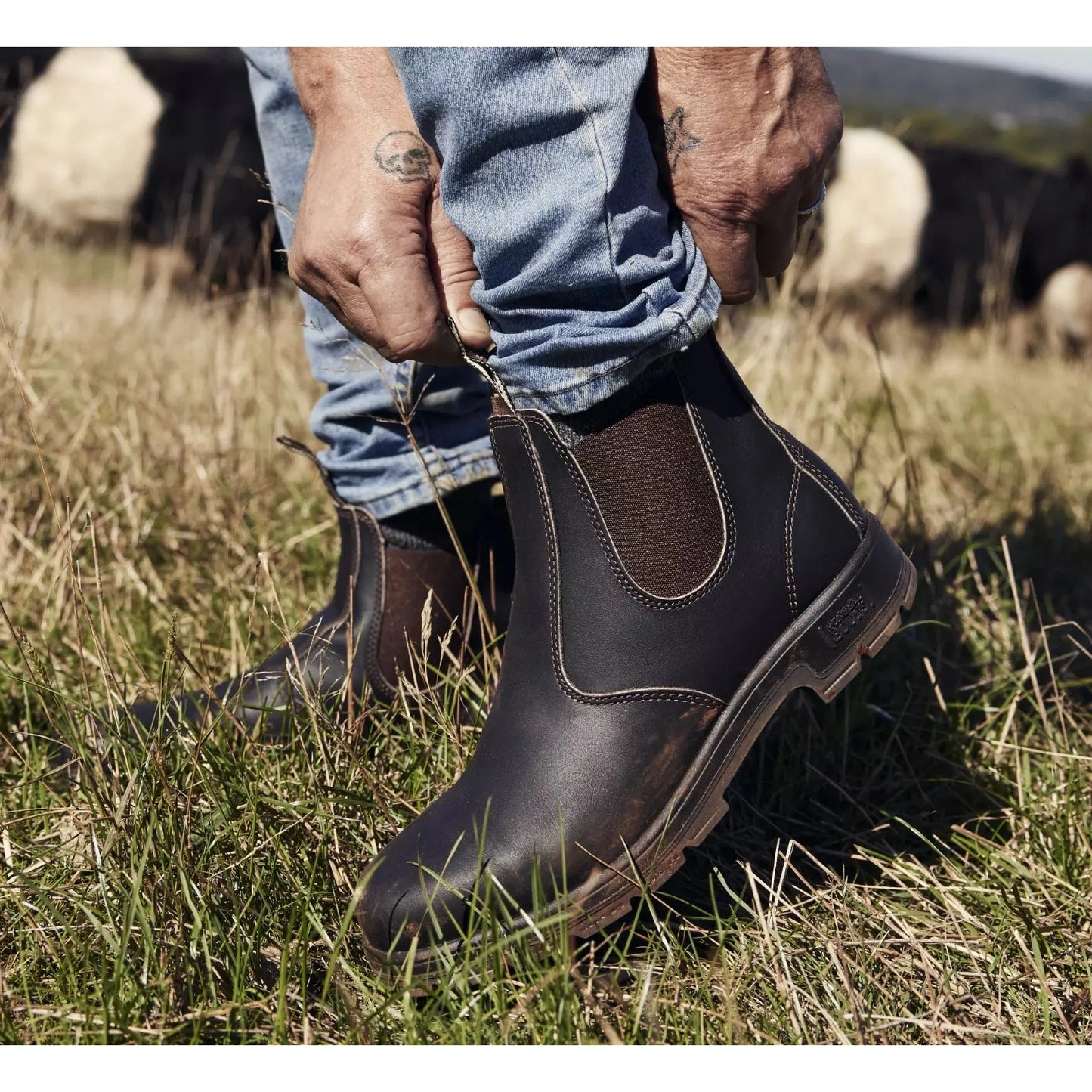 Mongrel Claret Oil Kip K9 Elastic Sided Boot - K91030 | Blue Heeler Boots