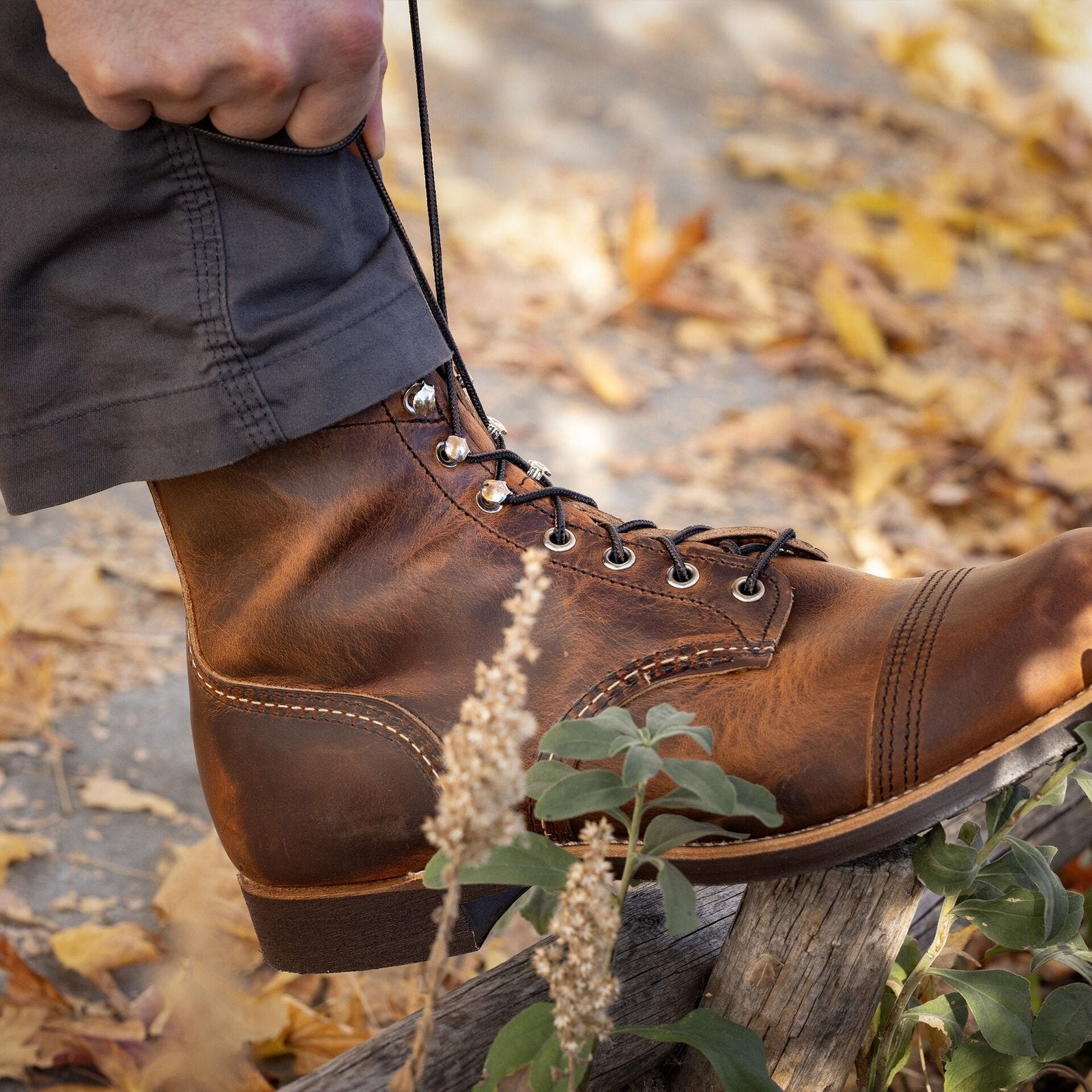 Redwing Iron Ranger, Copper Rough & Tough | The Boot Shed – Blue