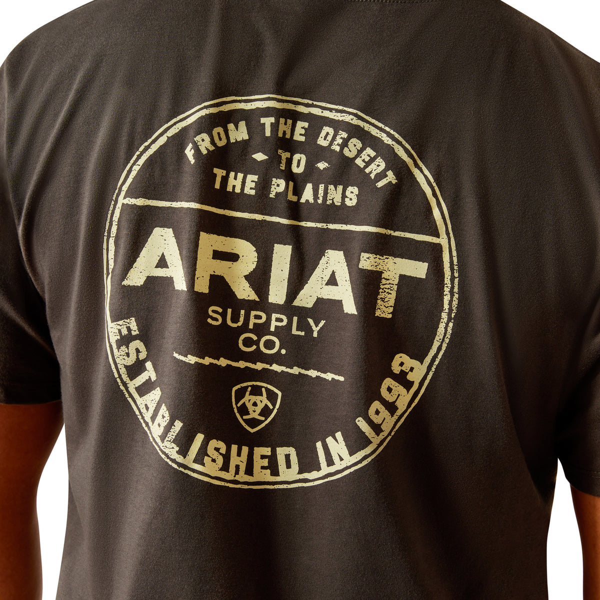 Ariat Explore Circle Men's T-Shirt - 10058899 | Blue Heeler Boots