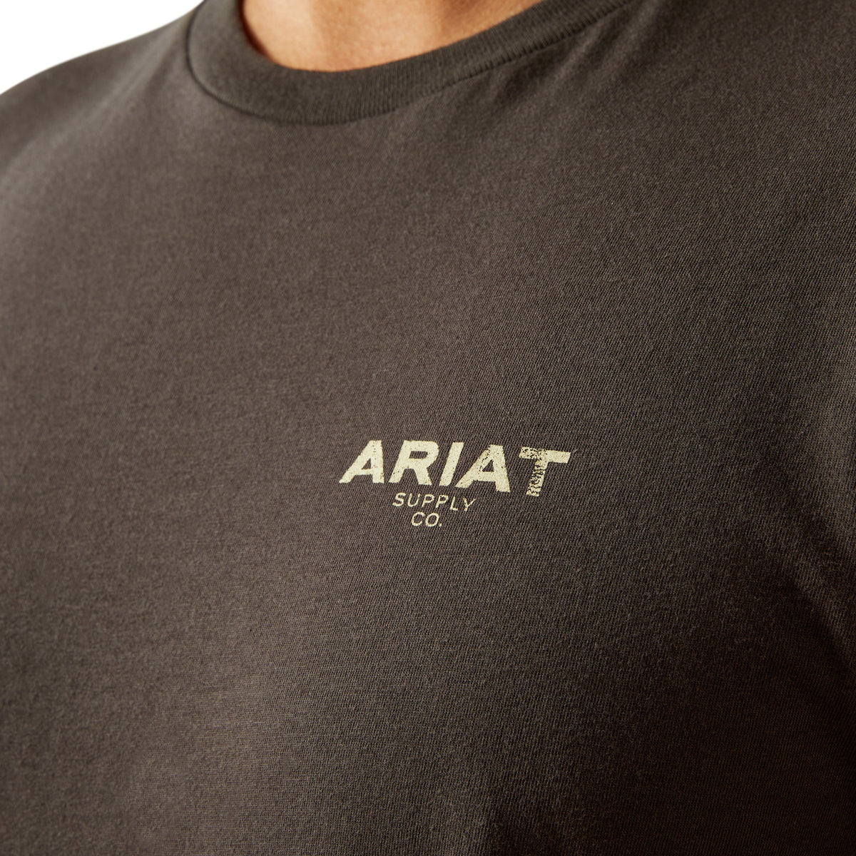 Ariat Explore Circle Men's T-Shirt - 10058899 | Blue Heeler Boots