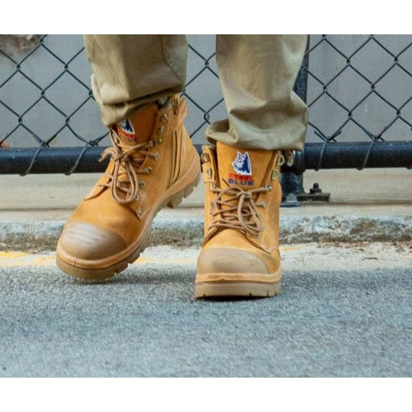 Steel Blue Argyle Zip Scuff Composite - 318592 | Blue Heeler Boots